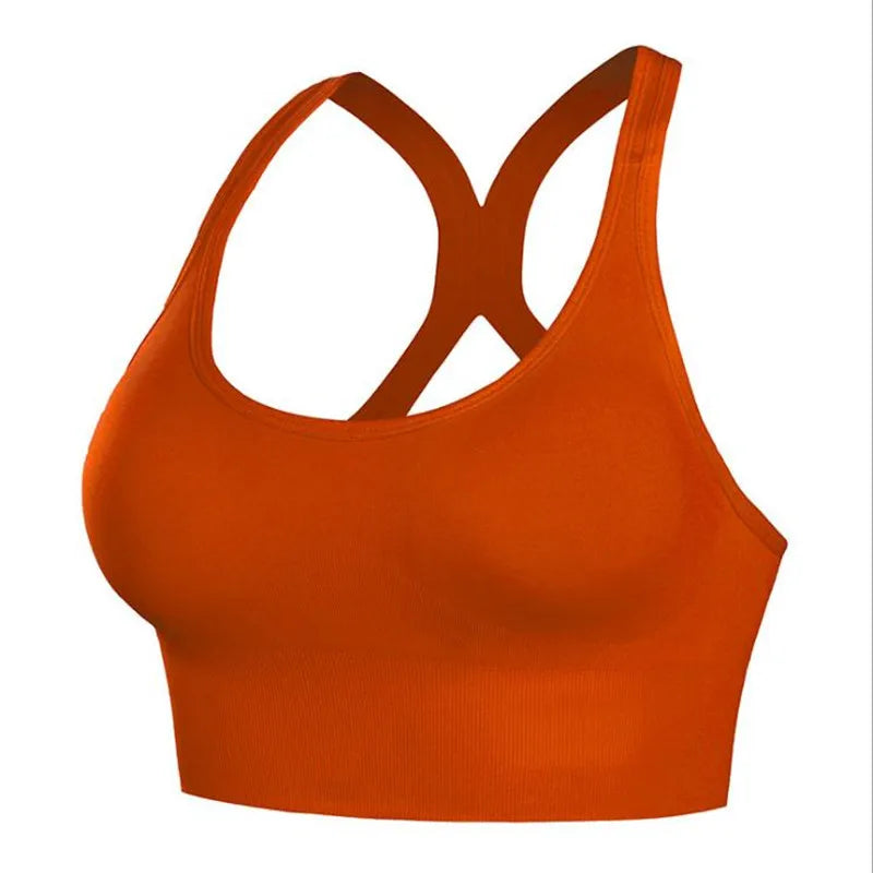 Shockproof Quick Dry Sports Bra