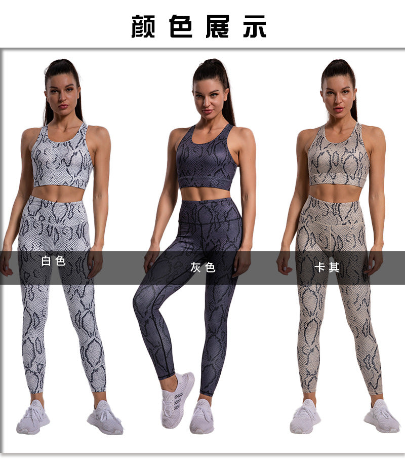 QK Snake Skin Sport Set Women Gym Outfit