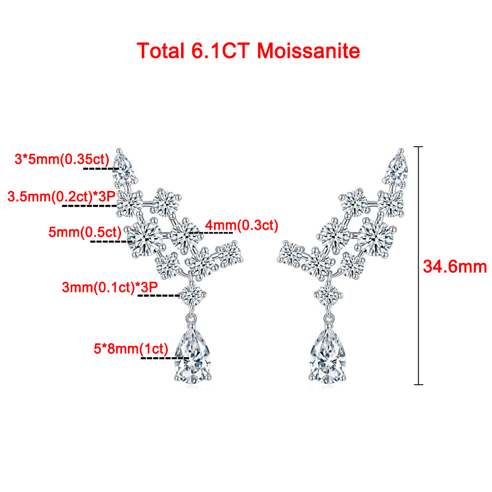 Luxury Full Moissanite Drop Earrings